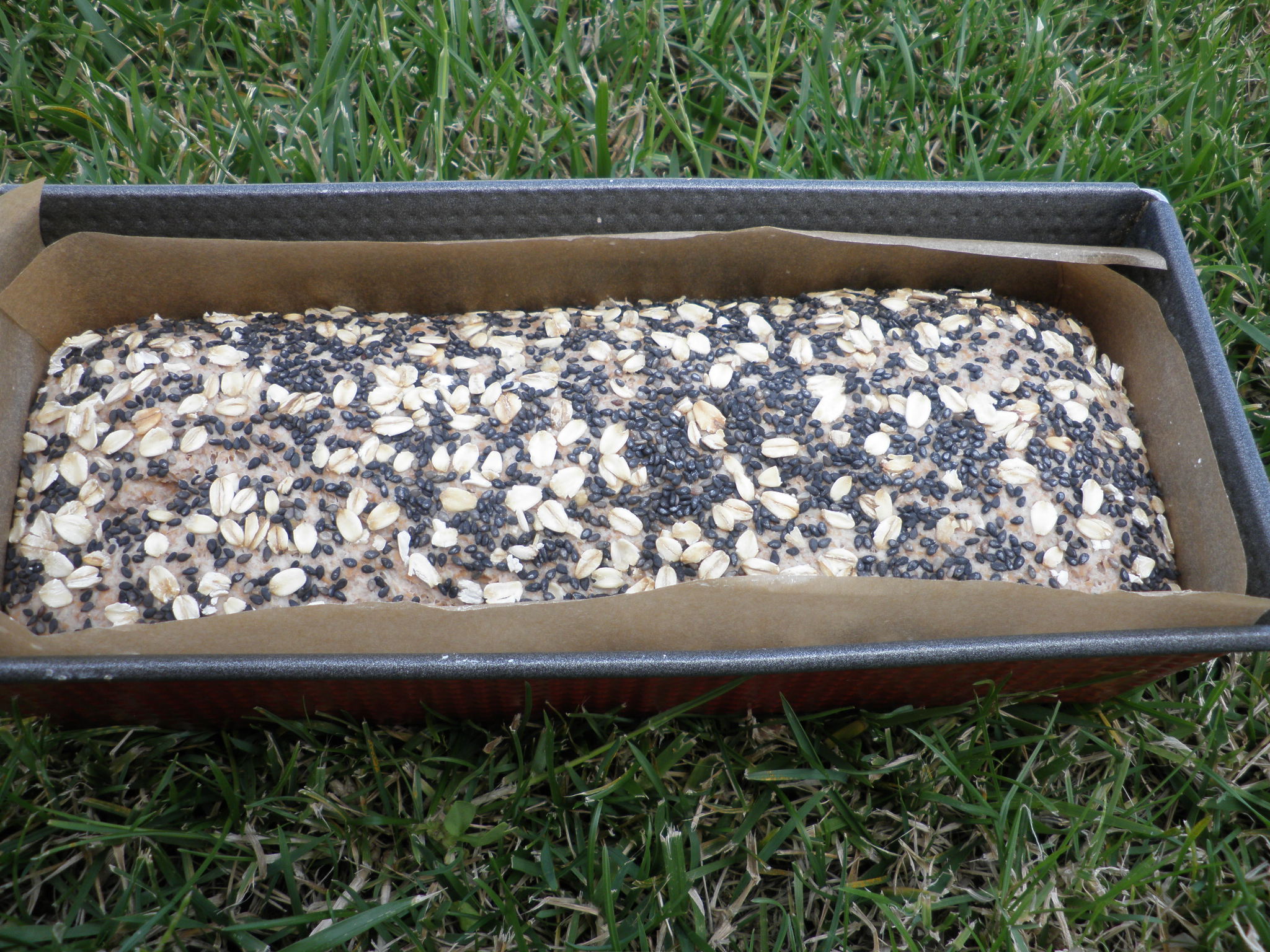 pa integral pa integral