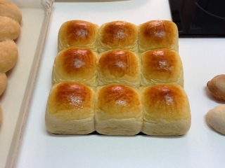 BOLLITOS DE MIEL Y YOGUR