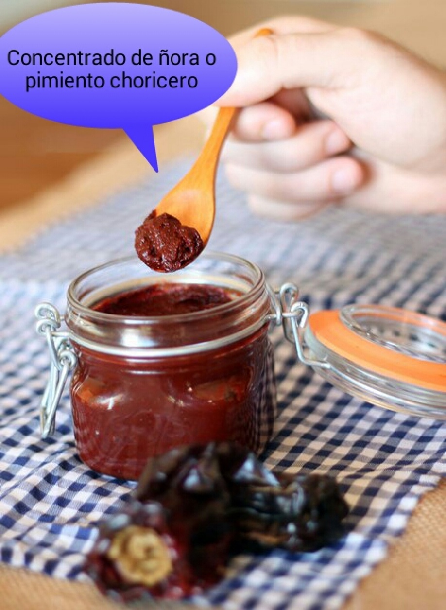 Concentrado de pimiento choricero o ñoras
