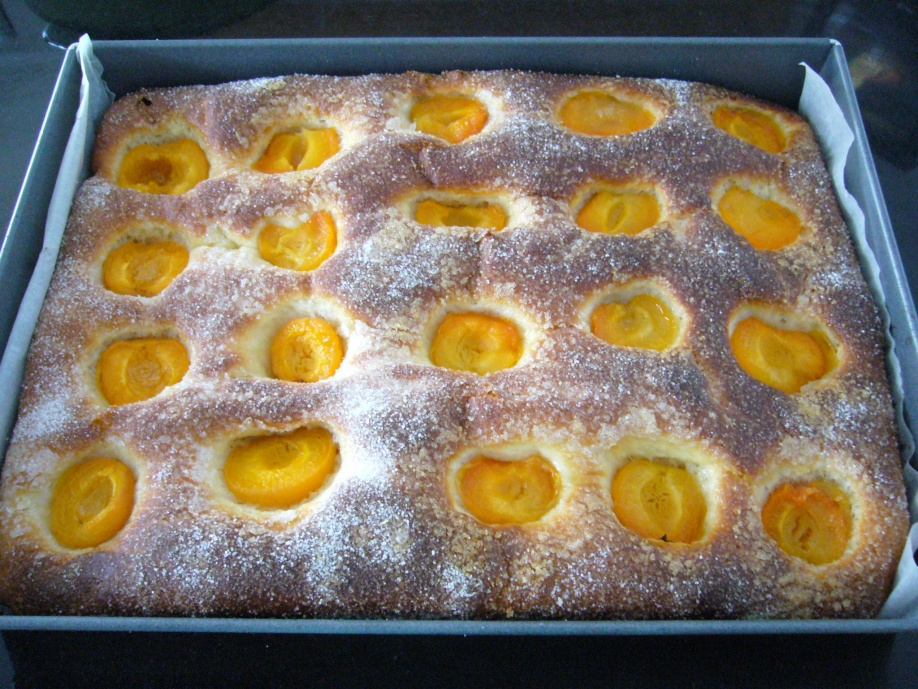 COCA CON ALBARICOQUES