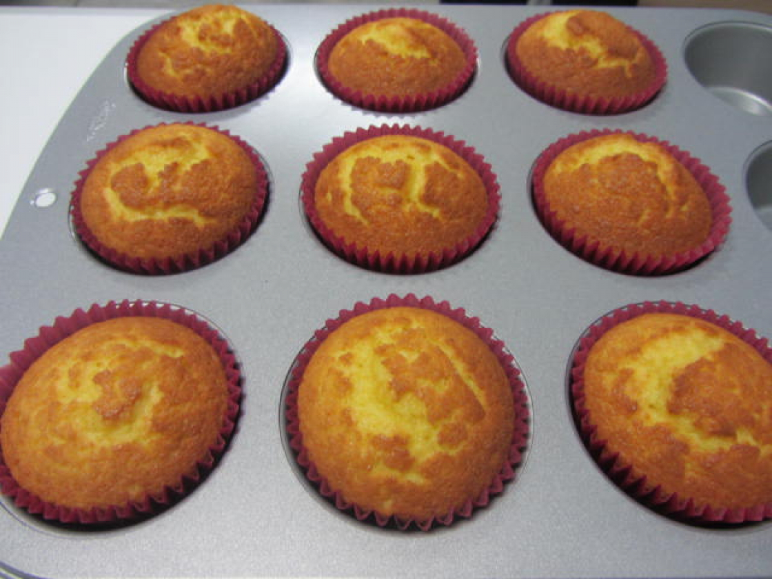 MAGDALENAS DE XAVIER BARRIGA